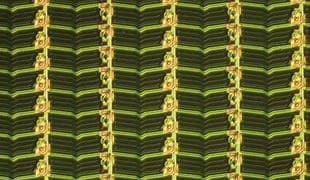 Màn hình tinh thể lỏng Hiển thị đo lường của Nikon Màn hình tinh thể lỏng Hiển thị đo lường của Nikon